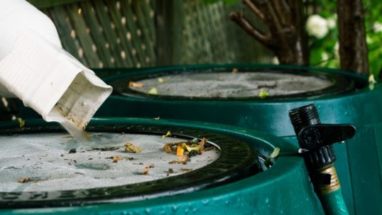 Rain water collection